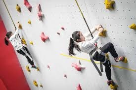 为什么“高认知人群”同样会陷入博彩陷阱？（为何即便是高认知人群也难逃博彩陷阱？）