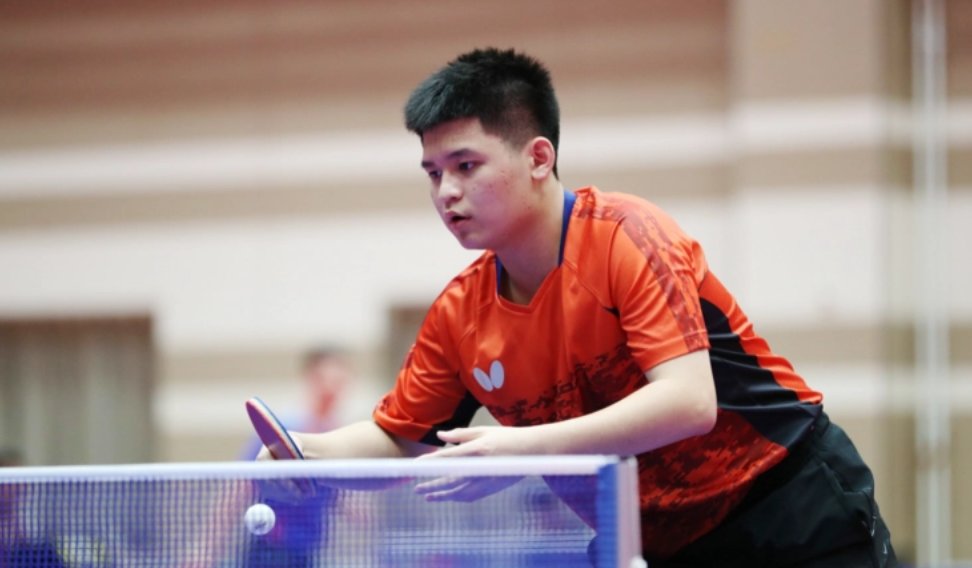 从而增强其 从而增强其