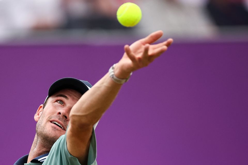 全面开花 全面开花